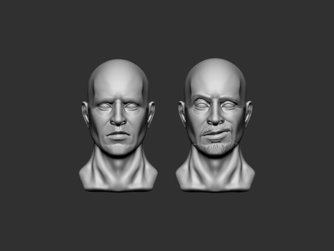 Male Head 3D Baskı Modeli