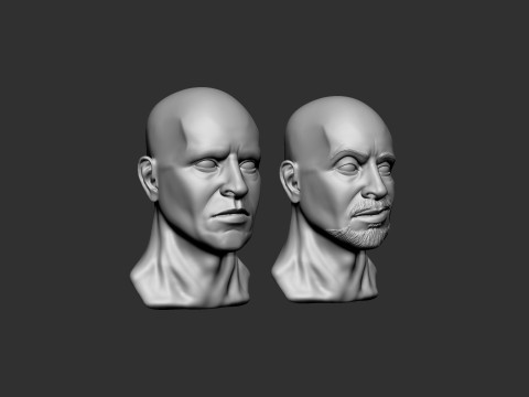 Male Head 3D Print Model