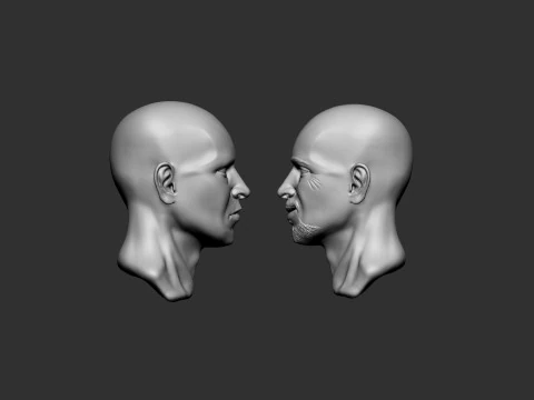 Male Head 3D Print Model