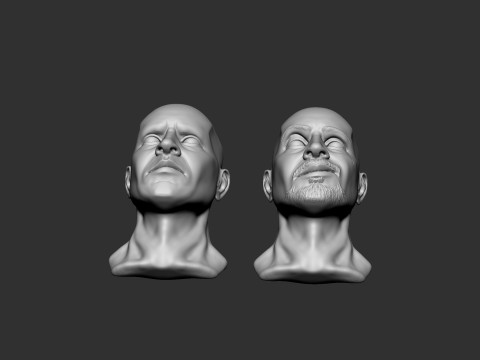 Male Head 3D Print Model