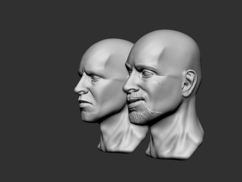 Male Head 3D Print Model