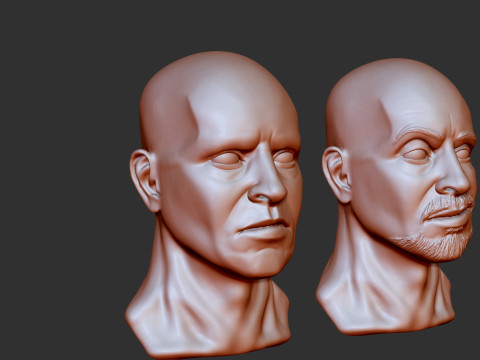 Male Head 3D Print Model