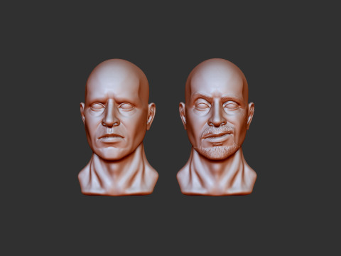 Male Head 3D Print Model