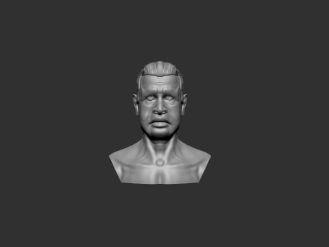 Old Man Head 3D Print Model