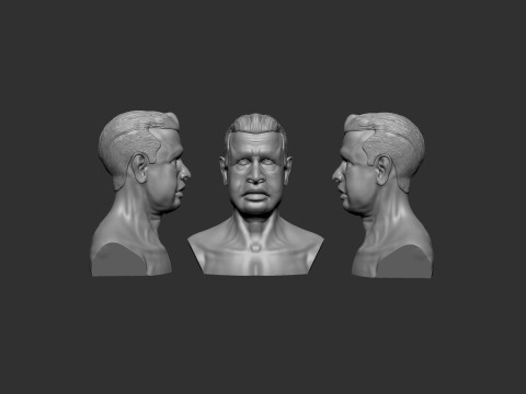 Old Man Head 3D Print Model