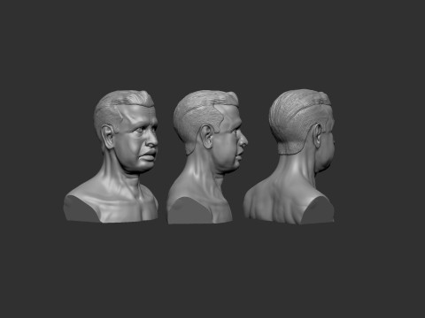 Old Man Head 3D Print Model