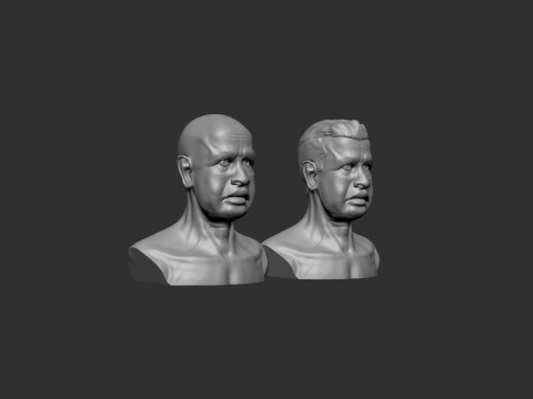 Old Man Head 3D Print Model