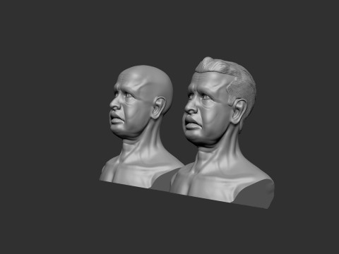 Old Man Head 3D Print Model