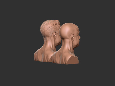 Old Man Head 3D Print Model