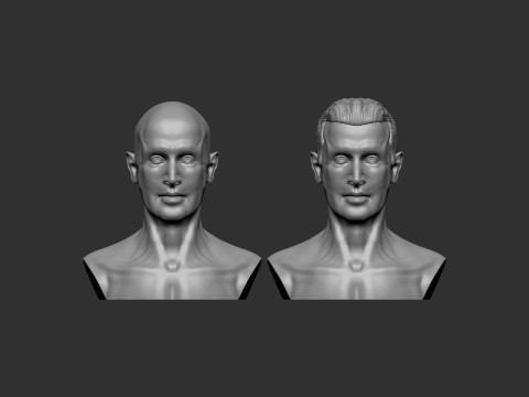 Male Head 3D Druckmodell