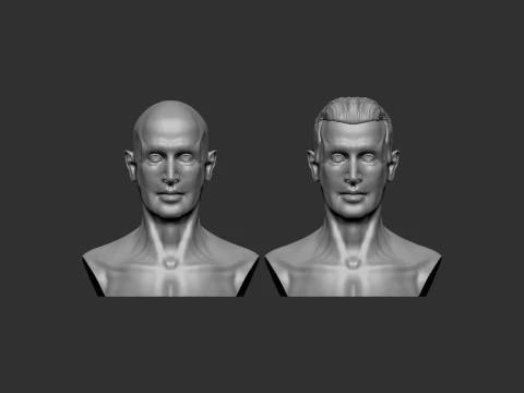 Male Head 3D Print Model