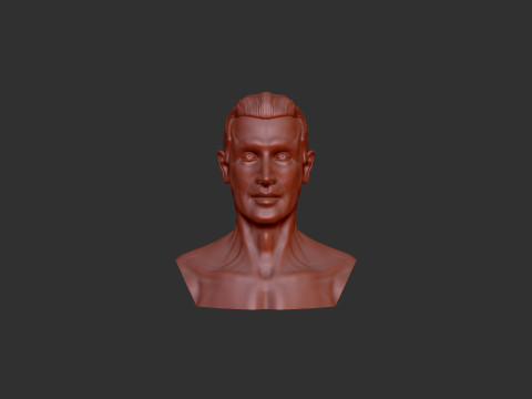 Male Head 3D 打印模型