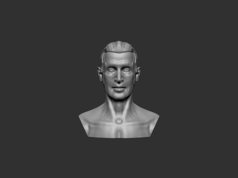 Male Head 3D 打印模型