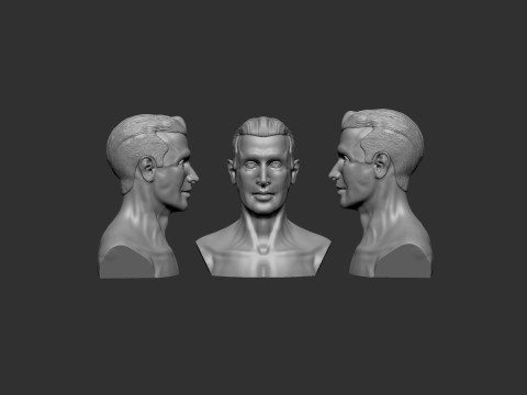Male Head 3D 打印模型