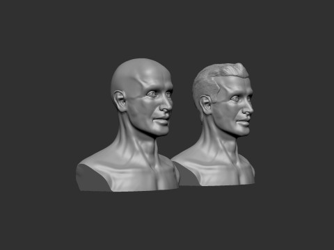 Male Head 3D 打印模型