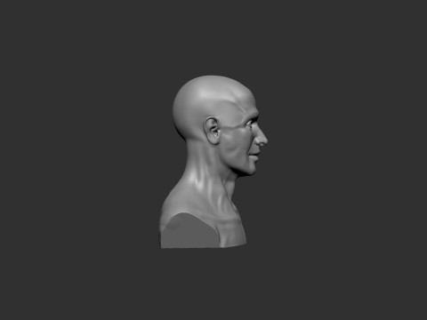 Male Head 3D 打印模型