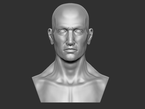 Male Head 3D Druckmodell