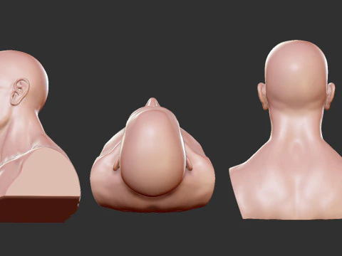 Male Head 3D Print Model