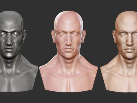 Male Head 3D Print Model
