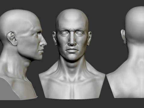 Male Head Model do druku 3D