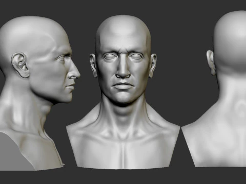 Male Head 3D Print Model