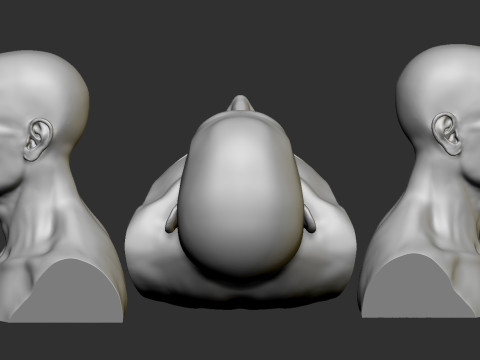 Male Head Model do druku 3D