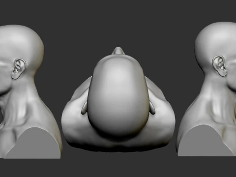Male Head 3D Print Model