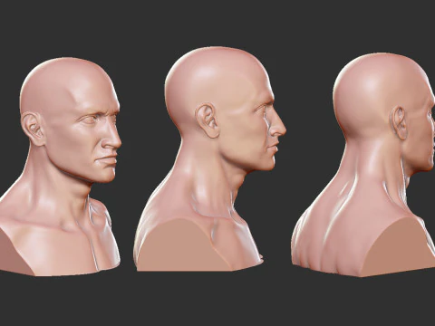 Male Head 3D Print Model
