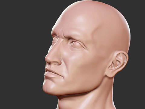 Male Head 3D Print Model