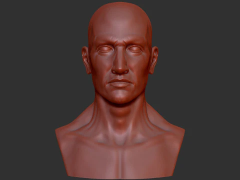 Male Head 3D Print Model