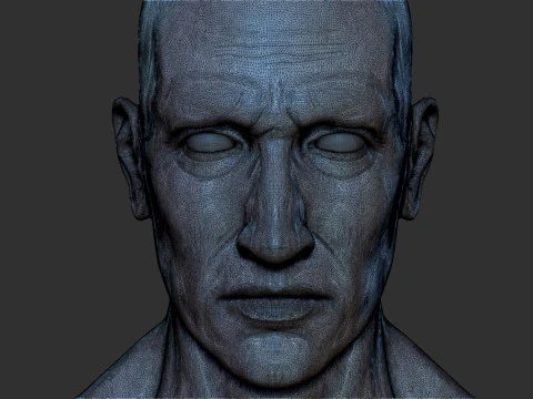 Male Head 3D Print Model