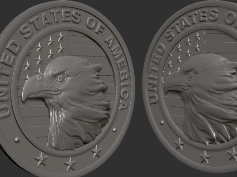 American Flag and Eagle Medal 3D Baskı Modeli