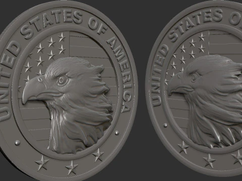 American Flag and Eagle Medal 3D Print Model