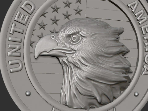 American Flag and Eagle Medal 3D Print Model