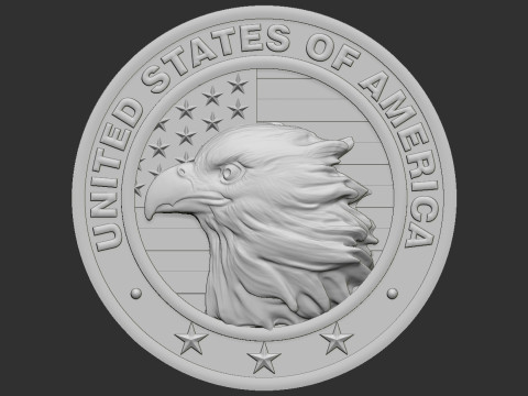 American Flag and Eagle Medal 3D Baskı Modeli