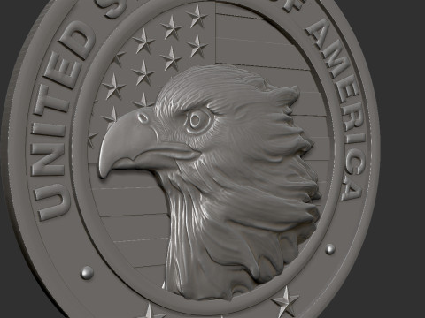 American Flag and Eagle Medal 3D Baskı Modeli