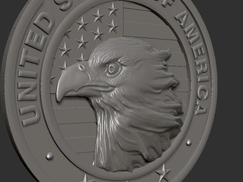 American Flag and Eagle Medal 3D Print Model
