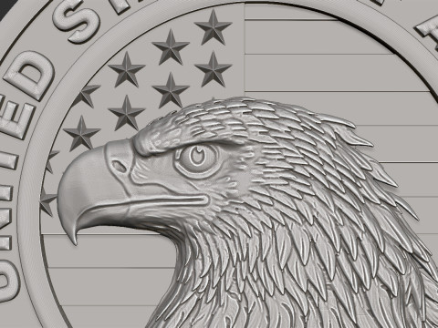 American Flag and Eagle 3D 打印模型
