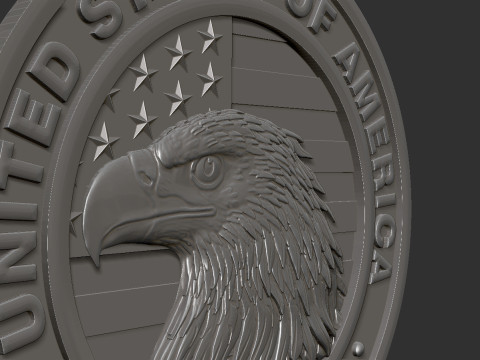 American Flag and Eagle 3D 打印模型