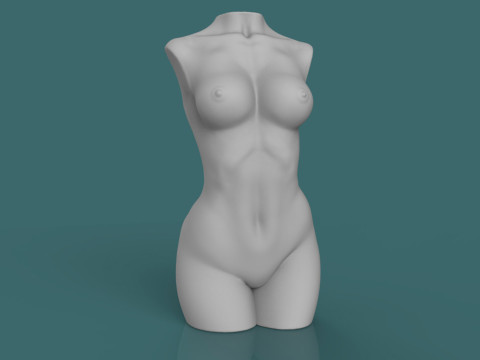 Female Torso 3D printmodel
