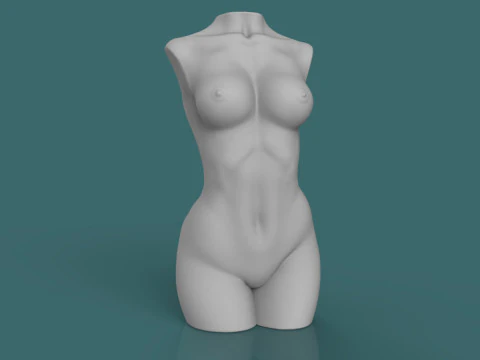 Female Torso 3D Print Model