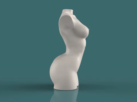 Female Torso 3D Print Model
