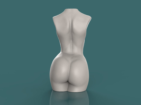 Female Torso 3D printmodel