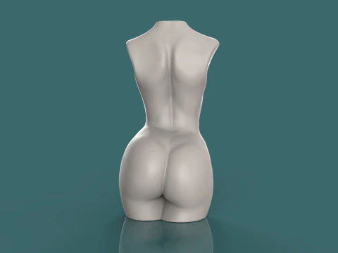 Female Torso 3D Print Model