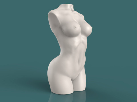 Female Torso 3D printmodel