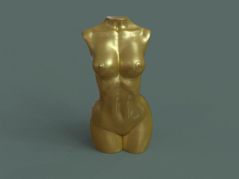 Female Torso 3D printmodel