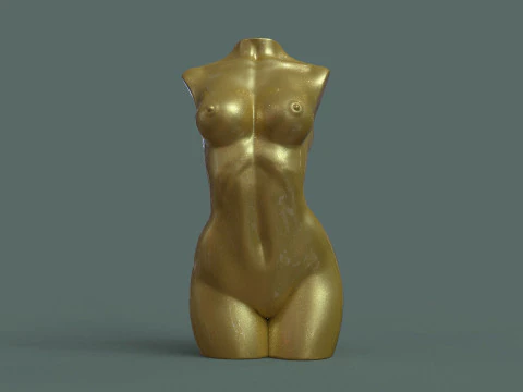 Female Torso 3D Print Model