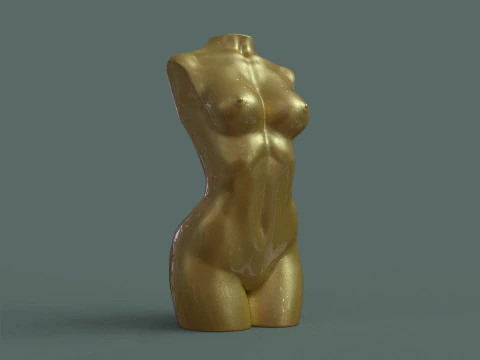 Female Torso 3D Print Model