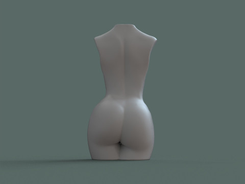 Female Torso 3D printmodel