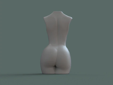 Female Torso 3D Print Model